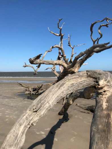 Jekyll Island